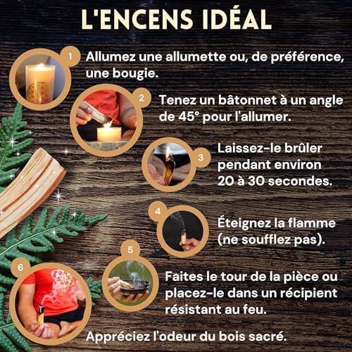 ELEVAVIDA Palo Santo 90 g (9-11 bâtons) Bois Palo Santo du Pérou, produit durablement pour la Relaxation, la méditation, Le Nettoyage énergétique des pièces - Bursera Graveolen — Bois sacré - Image 4