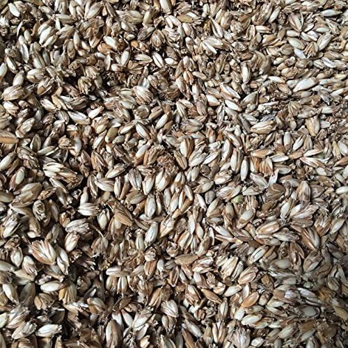 Épeautre bio pour remplissage de coussin à partir de 1 kg jusqu'à 30 kg – Les grains d'épeautre sont nettoyés et dépoussiérés - Image 4