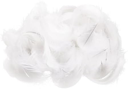 Eupsiiu 200 pièces panaches blanches, décoration du panache, panaches artisanales, panache d'Oie naturelle, pour bricolage Dreamcatcher, vêlements, Noël, anniversaire, fête de mariage