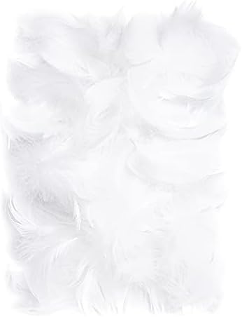 Netuno 150 Plumes Décoratifs Blanches 10g Plumes Duvetees DÉCORATIES PLUMES D'OISEAUX PLUMES Naturelles pour Loisirs Créatifs Bricolage DÉCORATION