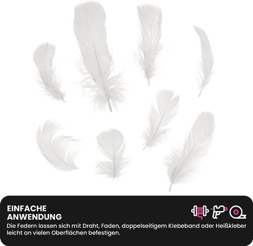 Netuno 150 Plumes Décoratifs Blanches 10g Plumes Duvetees DÉCORATIES PLUMES D'OISEAUX PLUMES Naturelles pour Loisirs Créatifs Bricolage DÉCORATION - Image 3