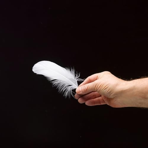 200 Pièces Plume, Plumes d'Oie de L'Artisanat Naturel, pour les costumes, Sacs, d'Intirieur, Rêves Bricolage, Fête du Parti du Mariage, Décoration de Chapeau, La Longueur est - Image 3