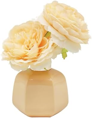 Diffuseur de moindre & pavéré à roseaux pour les accessoires de Maison - 100 ml - Parfum Grenade Noir Floral - DiFfuseur d'Huiles Aromathérapie - Coffret Cadeau pour femme - Image 2