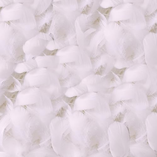 200 Pièces Plume, Plumes d'Oie de L'Artisanat Naturel, pour les costumes, Sacs, d'Intirieur, Rêves Bricolage, Fête du Parti du Mariage, Décoration de Chapeau, La Longueur est