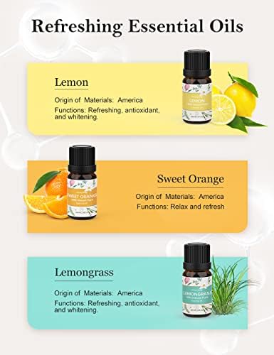 Réglez les Huiles Essentielles 10x10ml 100% naturelles pour diffuser d'Aromathérapie - Huile d'arbre à thé, eucalyptus, menthe poivrée, citron, orange, citronnelle, lavande, rose, ylang-yang, vanille - Image 2