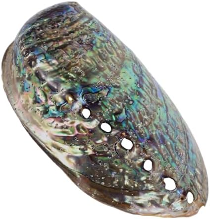 Buguuyo Bijoux en Coquillage Bricolage Coquille d'Ormeau Naturel Décoration de Coquillages Naturels