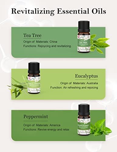 Réglez les Huiles Essentielles 10x10ml 100% naturelles pour diffuser d'Aromathérapie - Huile d'arbre à thé, eucalyptus, menthe poivrée, citron, orange, citronnelle, lavande, rose, ylang-yang, vanille - Image 3