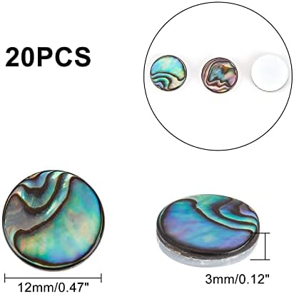 Superfindings 20 pièces 12x3 mm cabochons en coquille ronde plaque colorée coquille d'ormeau cabochons en coquille paua avec coquille d'eau douce pour la fabrication de bijoux - Image 5