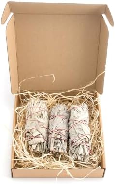 Native Spirit Batonnets de Sauge Blanche - Lot de 2 - Batons / Empaqueter / Ballot / Encens White Sage 2 x Mini Smudge 4 '' (~ 11cm ~ 20gr.)