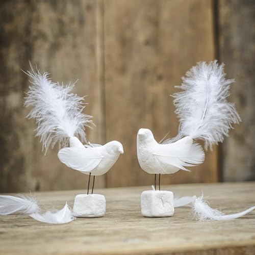 200 Pièces Plume, Plumes d'Oie de L'Artisanat Naturel, pour les costumes, Sacs, d'Intirieur, Rêves Bricolage, Fête du Parti du Mariage, Décoration de Chapeau, La Longueur est - Image 5