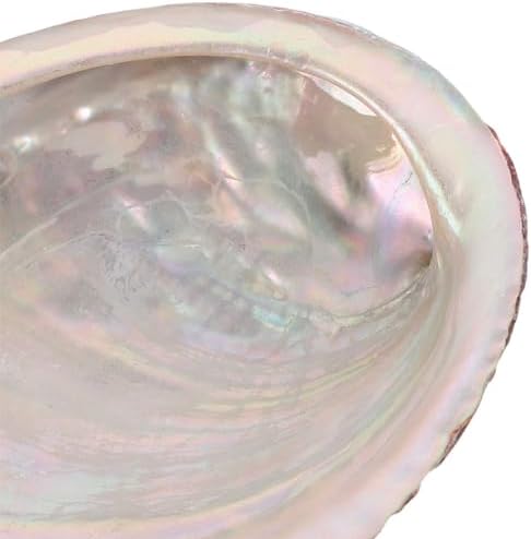 Alipis 2 Pièces Coquille d'Ormeau Cauris Boucles d'Oreilles Coquillage Conques Porte Coquillage Collection de coquillages Crabe Bracelet Coquilage Perles de Mer Coquilles - Image 4