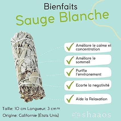 SAUGE BLANCHE Purification à Bruler (X2) + Palo Santo Bois │bâton Sauge à Brueler Encens │sauge de Californie Salvia apiana | Qualité Supérieure + Ebook Pratique - Image 2