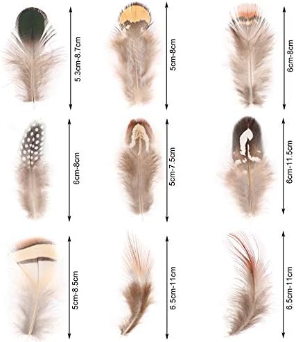 Mwoot 180 pièces Plumes Loisirs créatifs, panaches colories naturelles couler les pâques accessoire décoration bricolage bouage d'Oreille Ailes reve projet activités artisanales mariage accueil - Image 3