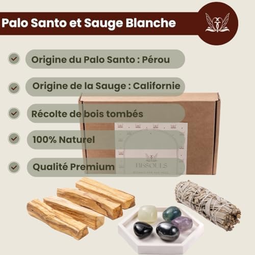 Besouls Coffret Ritual Protection: 4 Palo Santo Purification 1 Baton de Sauge Blanche Purification A Bruler 5 Pierres Protectrices Plateau Artisanal Qr Encens numériques Sauge Blanche Purification Maison - Image 6