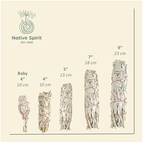 Native Spirit Batonnets de Sauge Blanche - Lot de 2 - Batons / Empaqueter / Ballot / Encens White Sage 2 x Mini Smudge 4 '' (~ 11cm ~ 20gr.) - Image 2