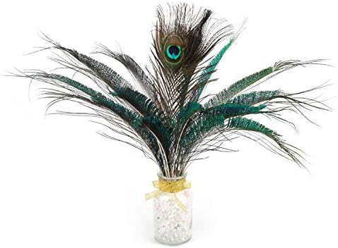 Mwoot 30 PCS Plumes d'Épée de Paon, Paon Plume Naturelles pour bricolage Décoration de la Maison de Bijoux Faire Artisanat (25-35cm) - Image 6