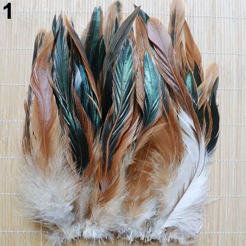 Qingsb lot de 50 panaches naturelles couler la décoration de vêlements 13 à 20 cm, naturel, 50 pcs
