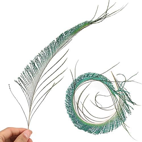 Mwoot 30 PCS Plumes d'Épée de Paon, Paon Plume Naturelles pour bricolage Décoration de la Maison de Bijoux Faire Artisanat (25-35cm) - Image 3