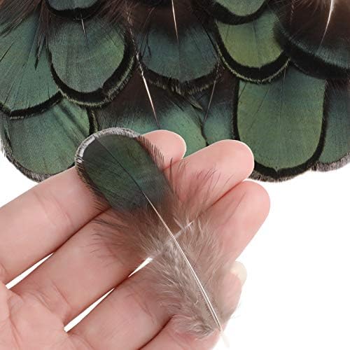 Mwoot 180 pièces Plumes Loisirs créatifs, panaches colories naturelles couler les pâques accessoire décoration bricolage bouage d'Oreille Ailes reve projet activités artisanales mariage accueil - Image 4
