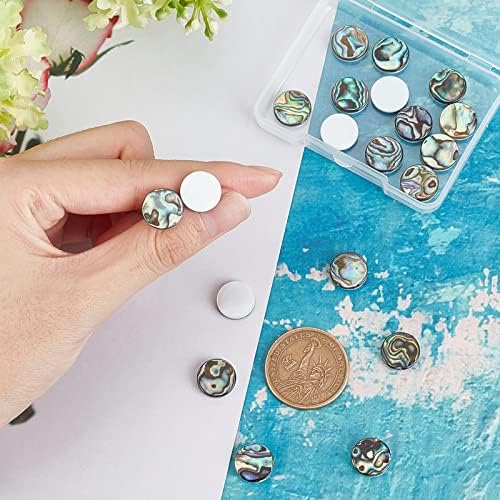 Superfindings 20 pièces 12x3 mm cabochons en coquille ronde plaque colorée coquille d'ormeau cabochons en coquille paua avec coquille d'eau douce pour la fabrication de bijoux - Image 4