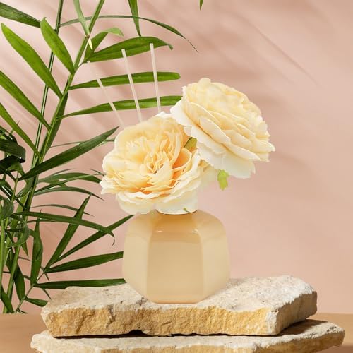 Diffuseur de moindre & pavéré à roseaux pour les accessoires de Maison - 100 ml - Parfum Grenade Noir Floral - DiFfuseur d'Huiles Aromathérapie - Coffret Cadeau pour femme - Image 4
