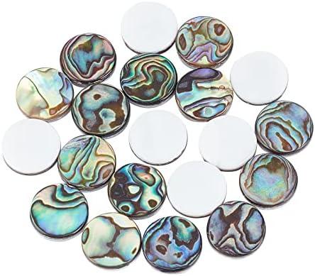 Superfindings 20 pièces 12x3 mm cabochons en coquille ronde plaque colorée coquille d'ormeau cabochons en coquille paua avec coquille d'eau douce pour la fabrication de bijoux