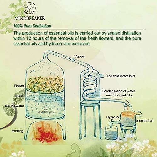 Mindbreaker Set D'Aromathérapie Bio Avec 6 Bouteilles d'Huile Essentiellle (Séri Traditionnel) - Image 4