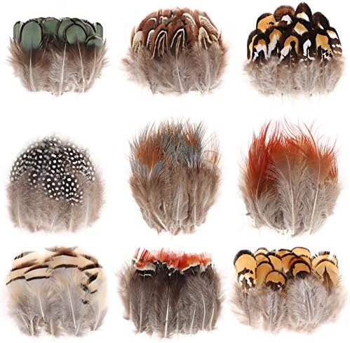 Mwoot 180 pièces Plumes Loisirs créatifs, panaches colories naturelles couler les pâques accessoire décoration bricolage bouage d'Oreille Ailes reve projet activités artisanales mariage accueil