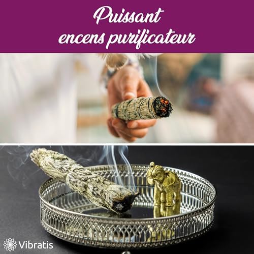 Vibratis Sauge Blanche de Purification 16cm - 1 Bâton d'Encens de Sauge à Brueler + E-Book - Élimine Les Énergies Négatifs - Favorise La Méditation (𝗦𝗮𝘁𝗶𝘀𝗳𝗮𝗶𝘁𝗼𝘂𝗥𝗲𝗺𝗯𝗼𝘂𝗿𝘀𝗲) - Image 3
