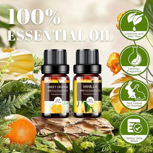 Aeshory Set Huiles Essentielles 20 x 5 ml, 100% Purres & Naturelle Huiles Essentielles aromathérapie pour diffuseurs, spa, massage, bain, Idéal Coffret Cadeau - Lavande, Thé arbre, citronnelle, romarin - Image 2