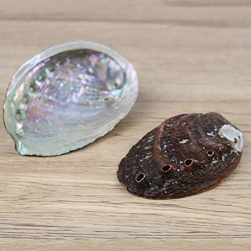 Taoyun Coquille d'Ormeau Naturel Grands Coquillages nautiques Décor à la Maison Porte-Savon Bricolage Aquarium Aquarium Paysage Maison Mariage Décor - Image 3