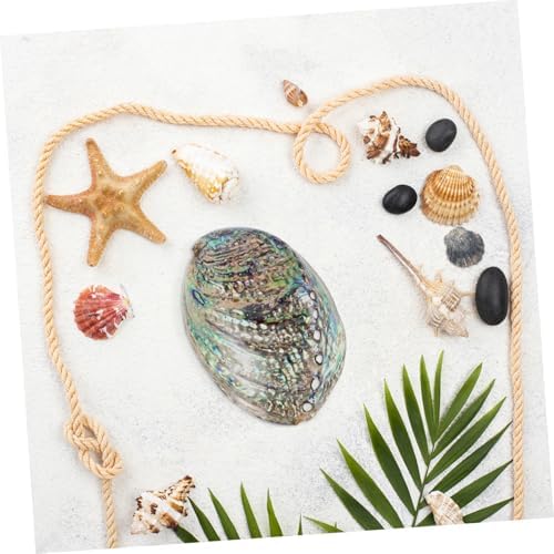 Buguuyo Bijoux en Coquillage Bricolage Coquille d'Ormeau Naturel Décoration de Coquillages Naturels - Image 6