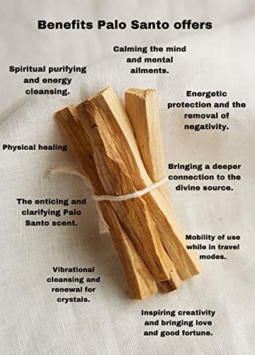 Palo Santo pour purification - 40 gr - 9 Batonnets Environ - Image 2