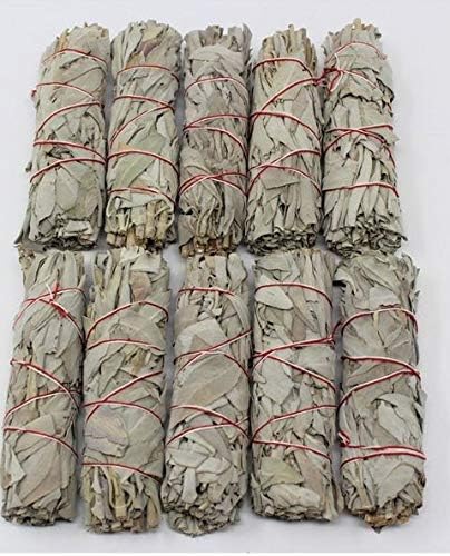 Véritable Sauge Blanche de Californie en Fagot de 20G de 12 cm (lot de 10) - Image 2