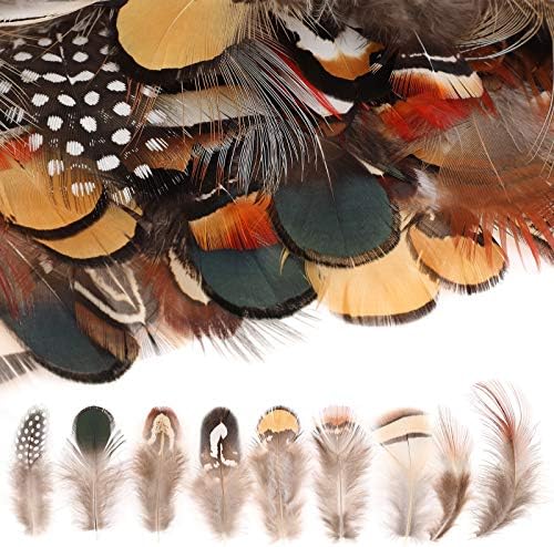 Mwoot 180 pièces Plumes Loisirs créatifs, panaches colories naturelles couler les pâques accessoire décoration bricolage bouage d'Oreille Ailes reve projet activités artisanales mariage accueil - Image 2