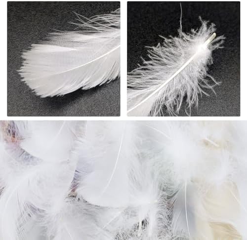 Eupsiiu 200 pièces panaches blanches, décoration du panache, panaches artisanales, panache d'Oie naturelle, pour bricolage Dreamcatcher, vêlements, Noël, anniversaire, fête de mariage - Image 3