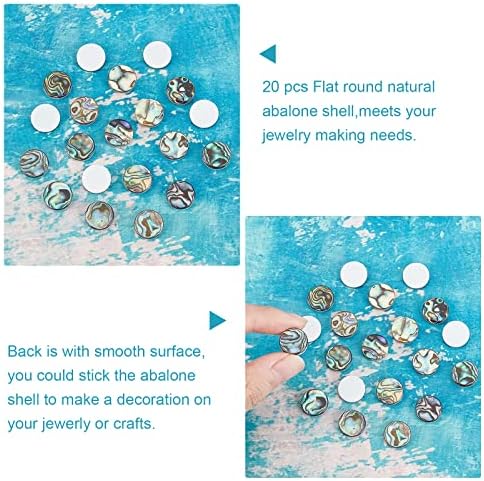 Superfindings 20 pièces 12x3 mm cabochons en coquille ronde plaque colorée coquille d'ormeau cabochons en coquille paua avec coquille d'eau douce pour la fabrication de bijoux - Image 3