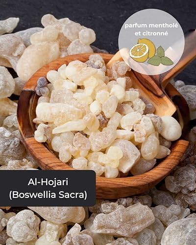 Encens Oman 1er Choix Oman encens à fumer Résine Encens Caoutchouc Arabique Résine d'Arbre Boswellia Sacra Frandincens Encens d'Égliser - Image 3
