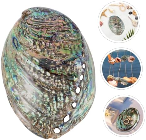 Buguuyo Bijoux en Coquillage Bricolage Coquille d'Ormeau Naturel Décoration de Coquillages Naturels - Image 8