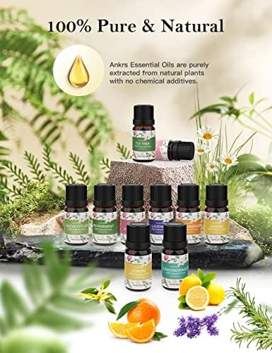 Réglez les Huiles Essentielles 10x10ml 100% naturelles pour diffuser d'Aromathérapie - Huile d'arbre à thé, eucalyptus, menthe poivrée, citron, orange, citronnelle, lavande, rose, ylang-yang, vanille - Image 4
