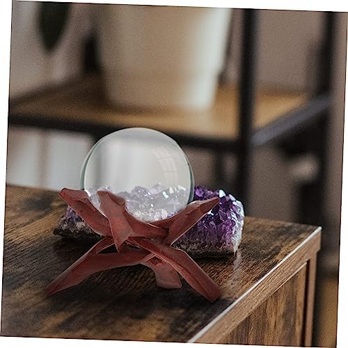 Soutien de Coquille d'Ormeau Coquille d'Ormeau pour le maculage Présentoir Sculpté à la Principale Décor PrésentOiR - Image 7
