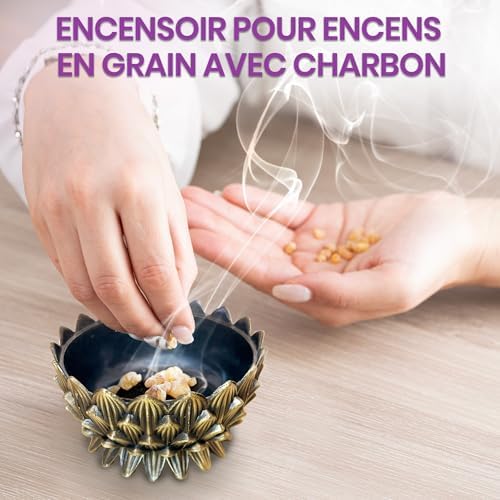 Vibratis Porte-Encens Lotus, encensoir pour le charbon, Cônes, Sauge et Palo Santo, Élégant et durable, Brûleur d'Encens pour l'ambiance Relaxante et apaisante - Image 3