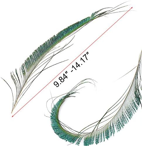 Mwoot 30 PCS Plumes d'Épée de Paon, Paon Plume Naturelles pour bricolage Décoration de la Maison de Bijoux Faire Artisanat (25-35cm) - Image 4