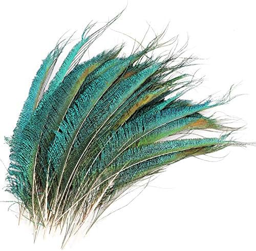 Mwoot 30 PCS Plumes d'Épée de Paon, Paon Plume Naturelles pour bricolage Décoration de la Maison de Bijoux Faire Artisanat (25-35cm)