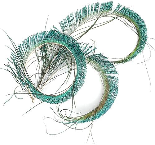 Mwoot 30 PCS Plumes d'Épée de Paon, Paon Plume Naturelles pour bricolage Décoration de la Maison de Bijoux Faire Artisanat (25-35cm) - Image 8