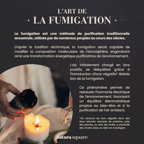 Natura Square - Fagot Cèdre Blanc de Californie à Broieler - Herbe de Purification, Sérénité, Harmonie, Spirituiti - Certificat Phytosanitaire - ENCENS Naturel, Méditation et fumigation - Image 3