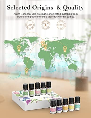 Réglez les Huiles Essentielles 10x10ml 100% naturelles pour diffuser d'Aromathérapie - Huile d'arbre à thé, eucalyptus, menthe poivrée, citron, orange, citronnelle, lavande, rose, ylang-yang, vanille - Image 5