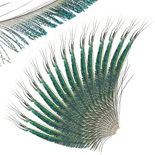Mwoot 30 PCS Plumes d'Épée de Paon, Paon Plume Naturelles pour bricolage Décoration de la Maison de Bijoux Faire Artisanat (25-35cm) - Image 2