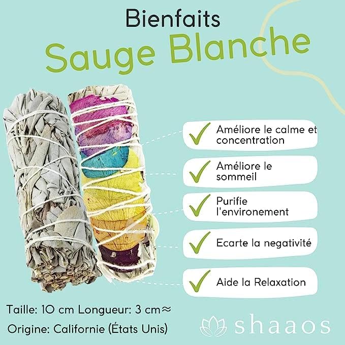 SAUGE BLANCHE CHAKRA + PALO SANTO + COQUILLE D'ORMEAU │Bâton Sauge à Brueler Encens │sauge de Californie Salvia apana | Qualité Superieure Premium + Ebook Pratique - Image 2
