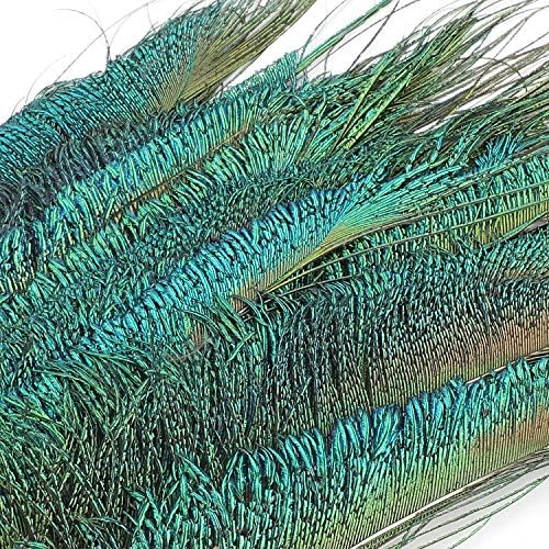 Mwoot 30 PCS Plumes d'Épée de Paon, Paon Plume Naturelles pour bricolage Décoration de la Maison de Bijoux Faire Artisanat (25-35cm) - Image 5